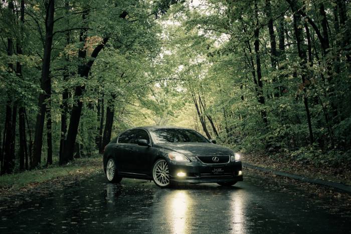 осень темно-серый лексус lexus в парке